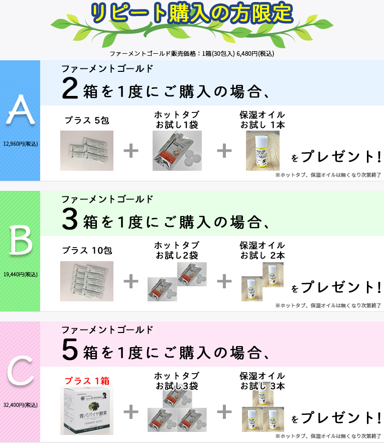 リピート購入説明2